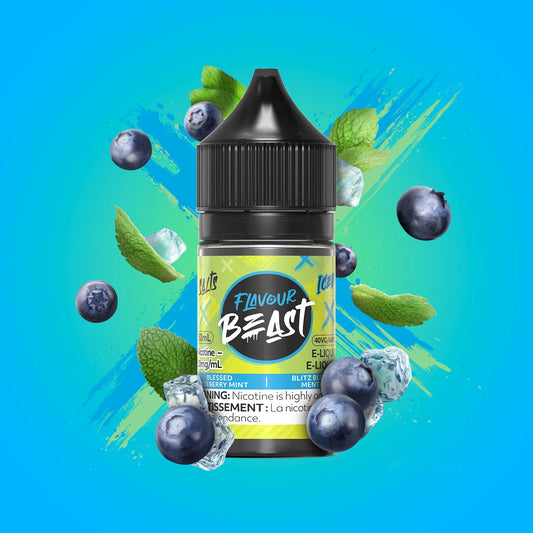Flavour beast e-liquid Blessed blueberry mint iced 10mg/30ml *